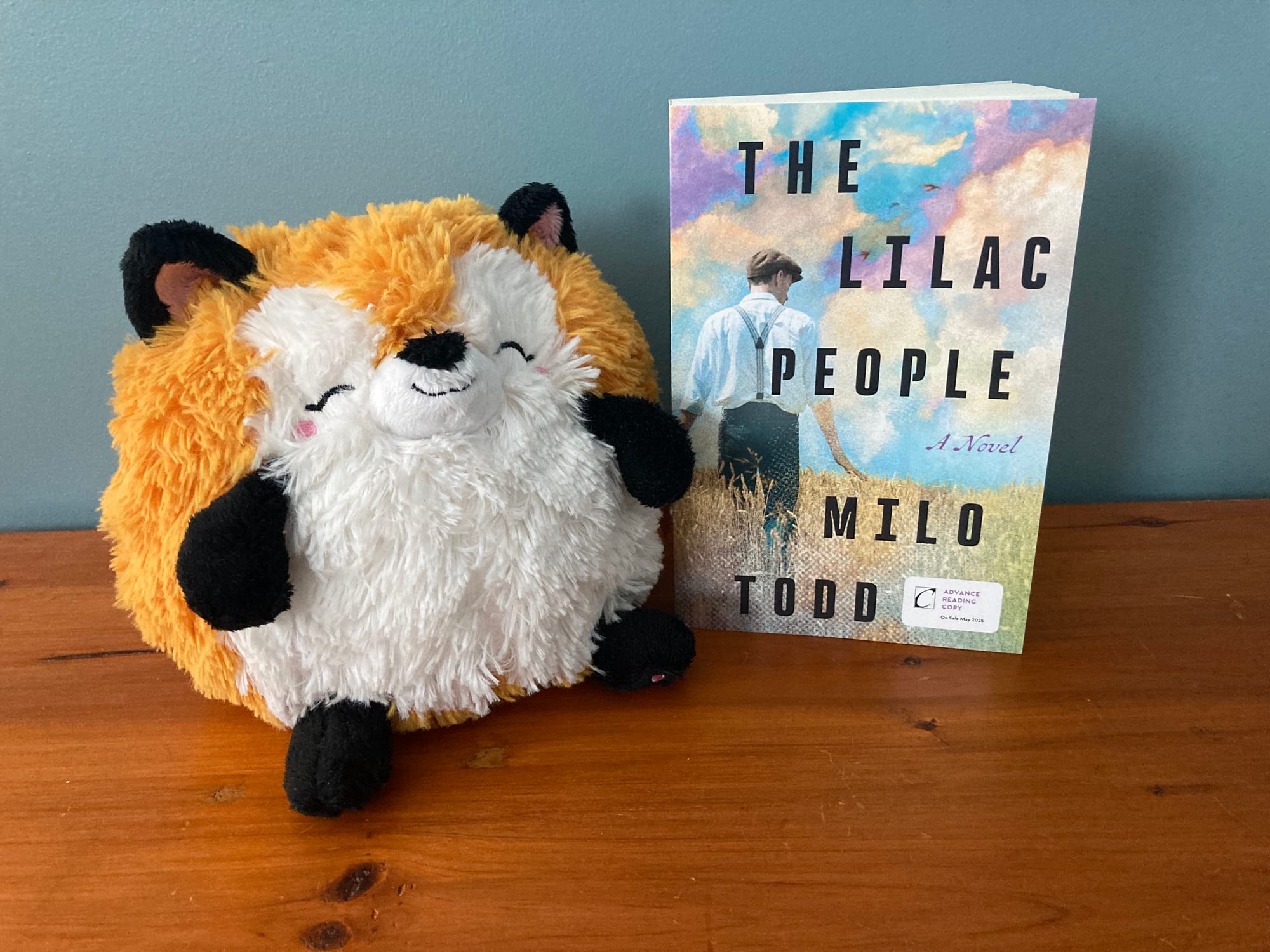 A fluffy, spherical fox stuffed animal with a happy expression sits next to a propped-up copy of the book. They're on a wooden surface and in front of a blue-painted wall.